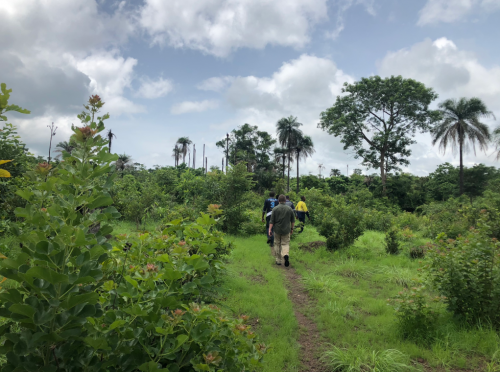 Team Astratto in Guinea